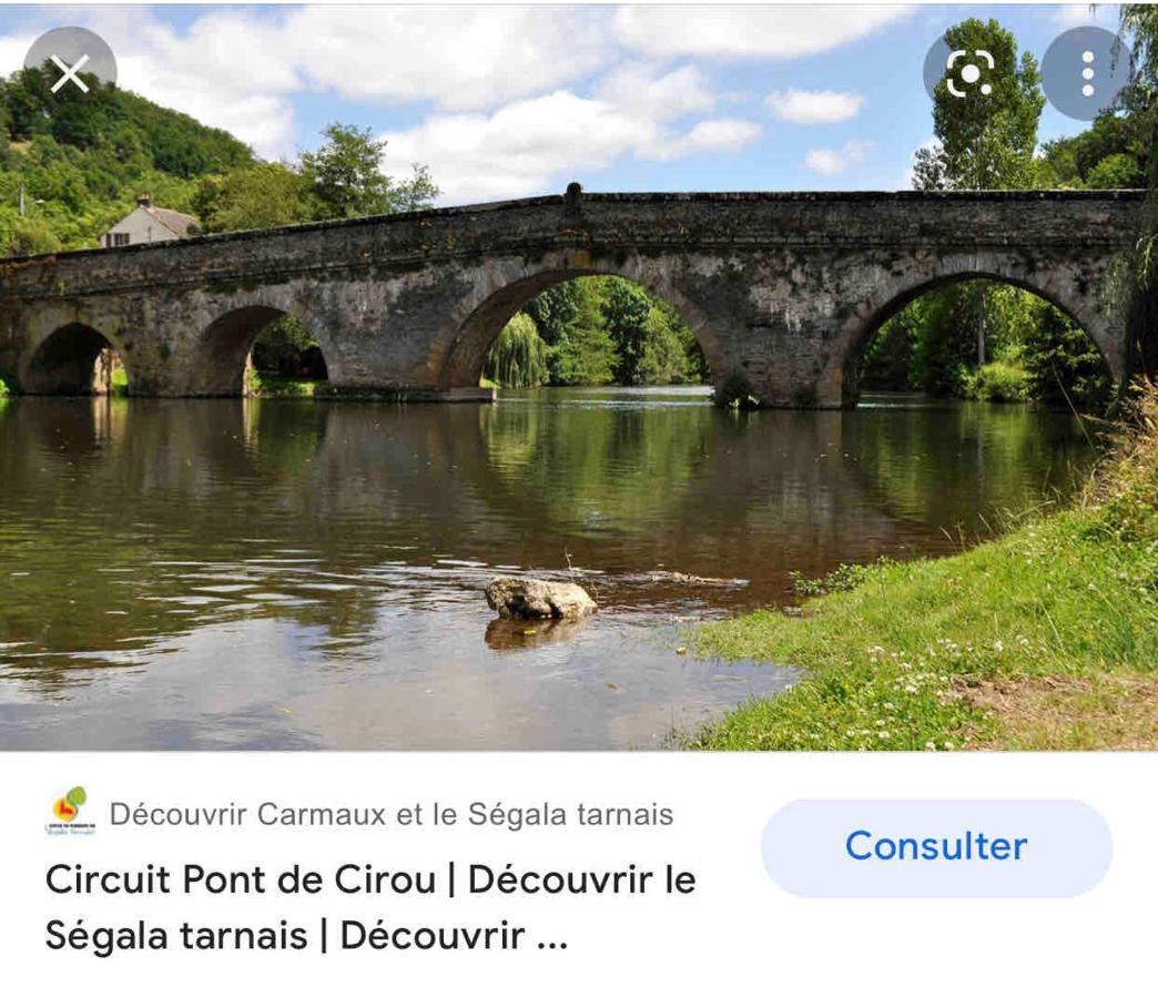 Le Gite De Las Peyros Mirandol-Bourgnounac Eksteriør billede